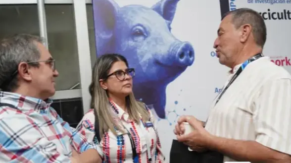Las lecciones que dejó el primer simposio de investigación en porcicultura