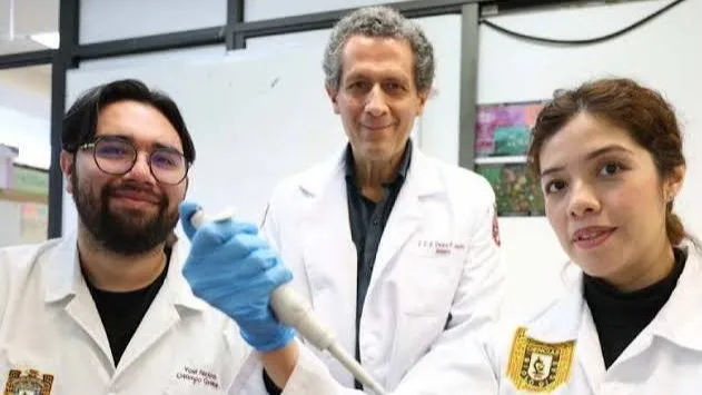 IPN logra regenerar tejido óseo y muscular con células madre e impresión 3D