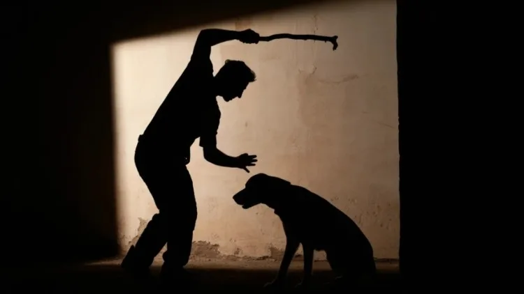 Comunidad denuncia un indignante caso de crueldad animal y exige el rescate de las mascota