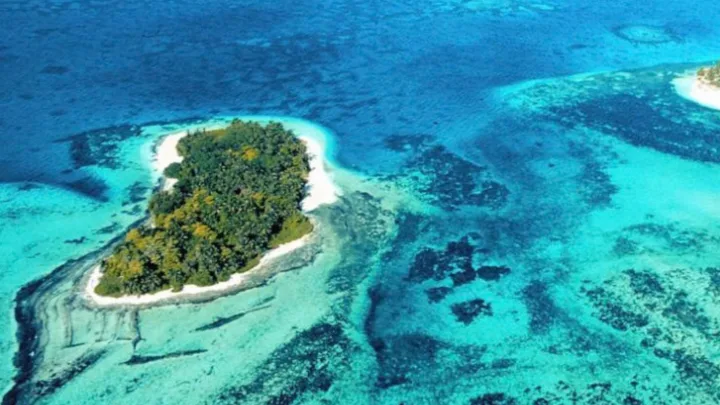 Para proteger la Reserva de Biosfera Seaflower, Procuraduría fortalece vigilancia al sanea