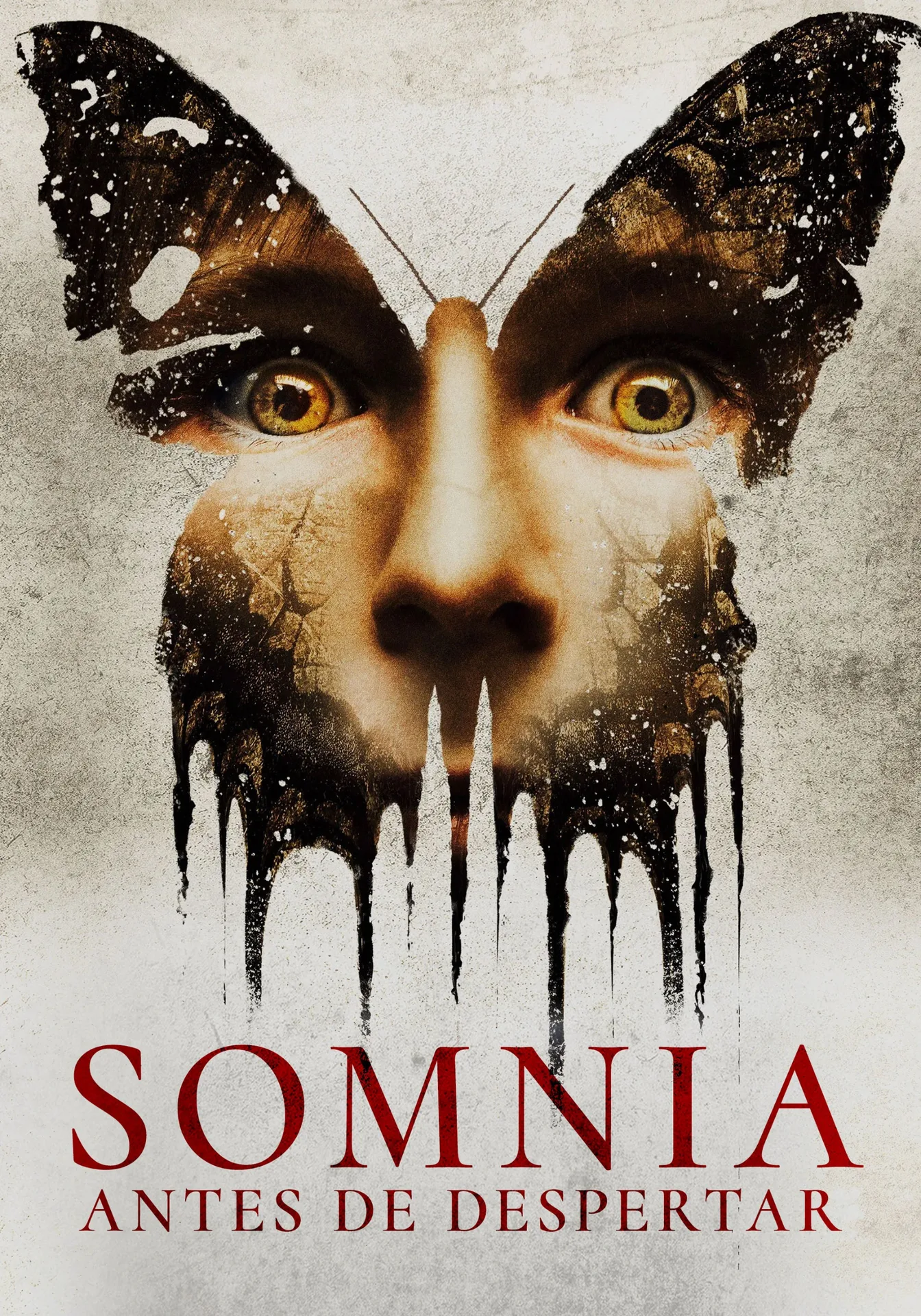 before i wake thumbnail 7x10 poster las