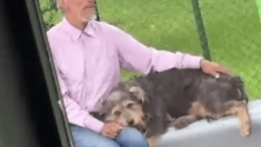 Empresa de transporte pide perdón y regala tiquetes de por vida a abuelo y su perrita