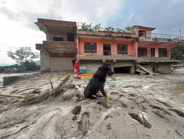 nepal3
