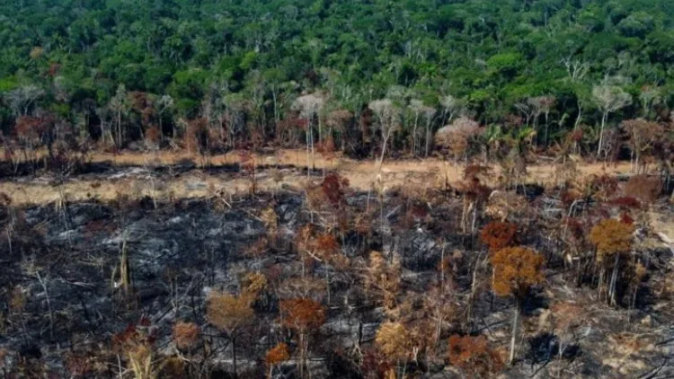 La deforestación en la Amazonía brasileña cae a mínimo histórico