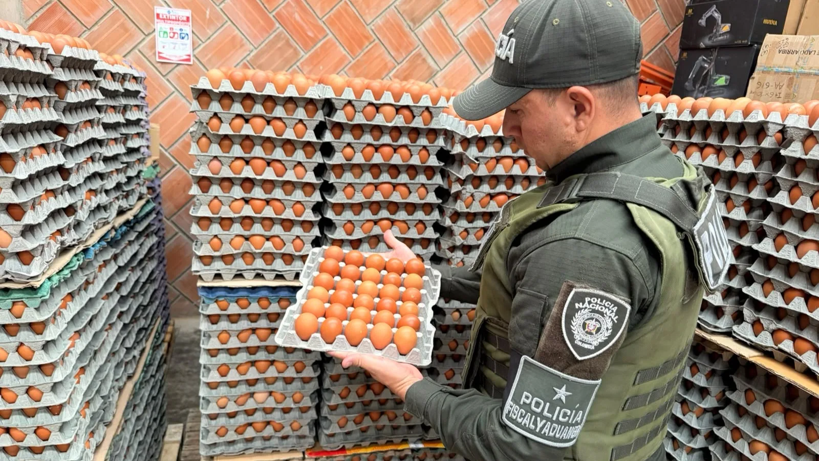 Controles aduaneros frenan comercio ilegal de más de 149 mil huevos en Nariño