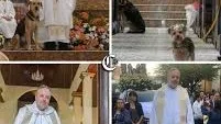Un sacerdote en Brasil descubrió que la fe también tiene cuatro patas.