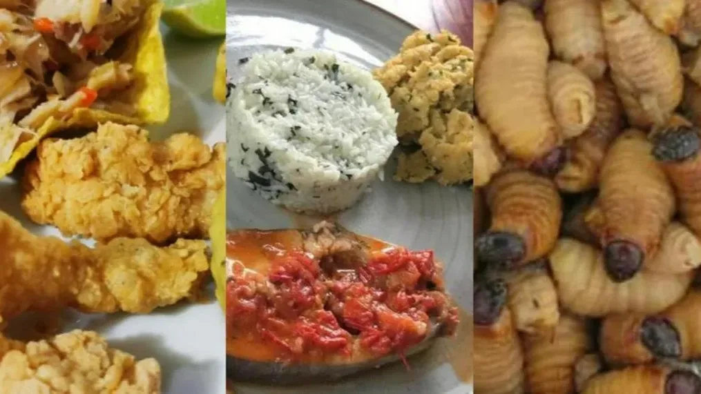 Gastronomía del Pacífico y la Amazonía: Secretos de la Selva y el Mar