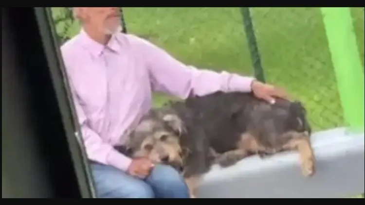 Transoriente investiga a conductor que negó el viaje a un adulto mayor con su perro