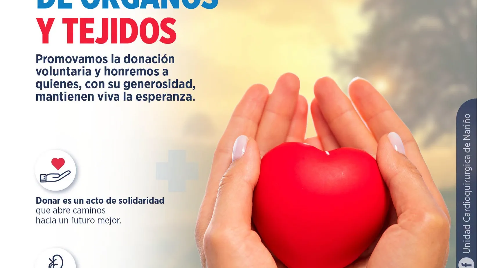 Solidaridad se convierte en una oportunidad para transformar vidas y construir esperanza