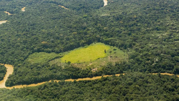Indígenas y políticos de la Amazonía rechazan revocatoria de reserva