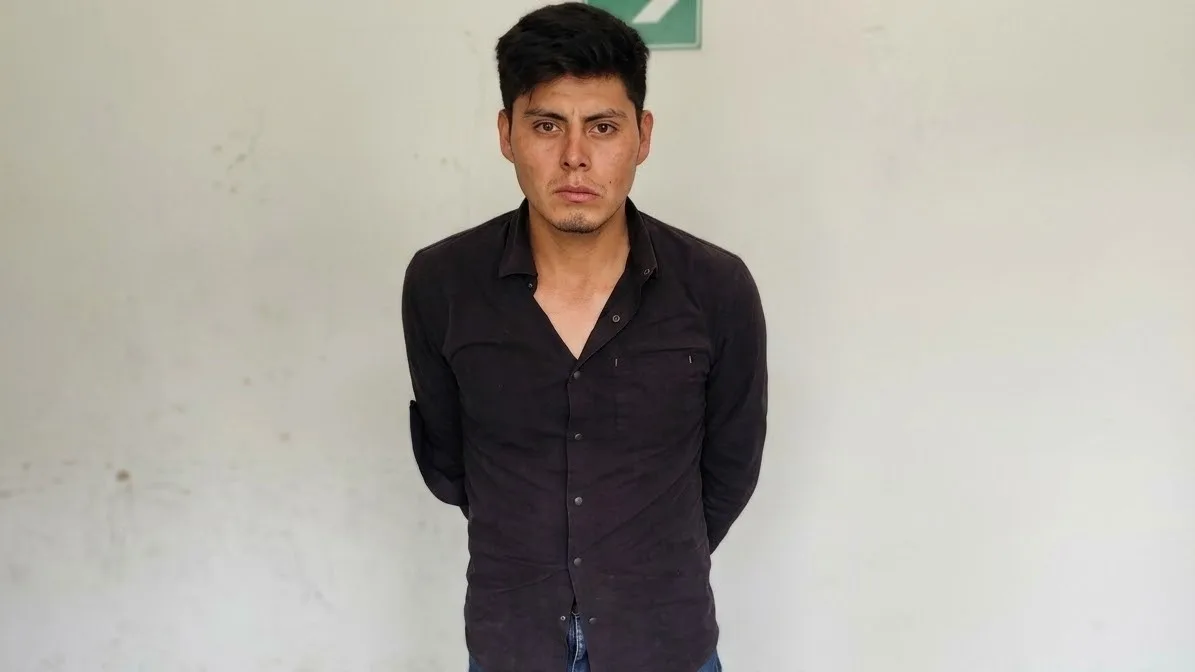 INCAUTAN NUEVE SEMOVIENTES EN EL BORDO CAUCA