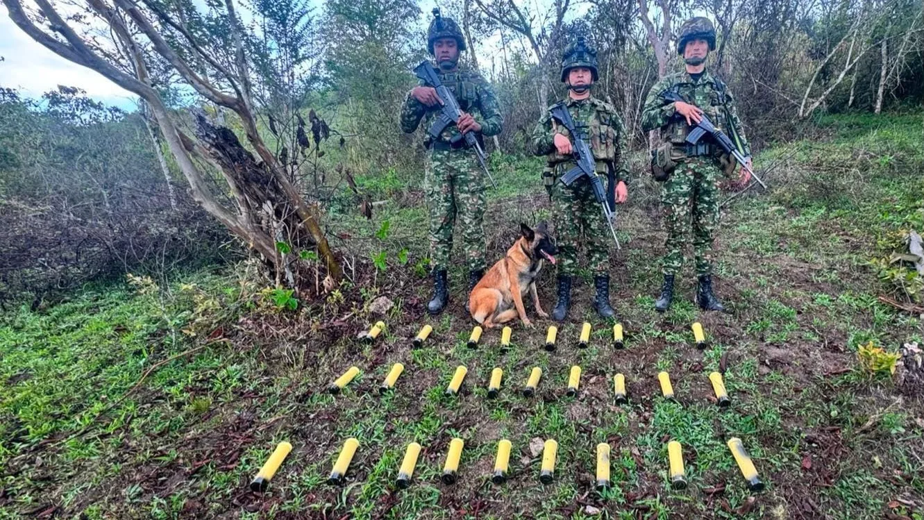 Ejército incauta 35 granadas artesanales en zona rural de El Peñol, Nariño