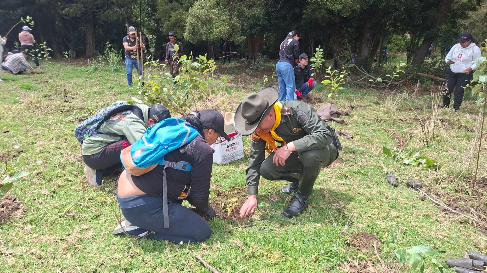 Sembraron 10.000 árboles nativos para la recuperación del río Blanco en Carlosama
