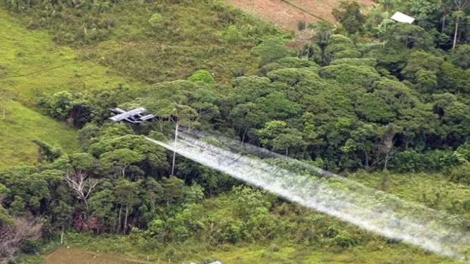 Del glifosato al glufosinato: las dudas de más de 30 científicos sobre fumigaciones aéreas