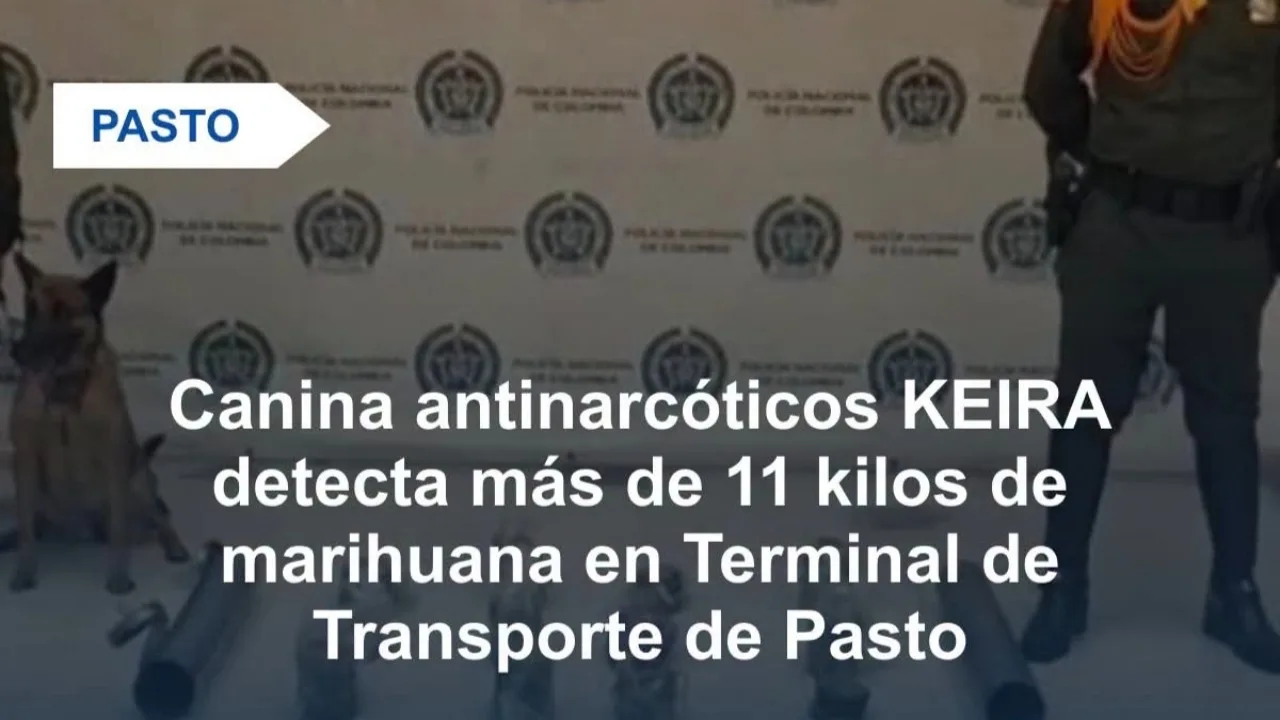 Canina Keira detecta más de 11 kilos de marihuana en la Terminal de Transportes de Pasto