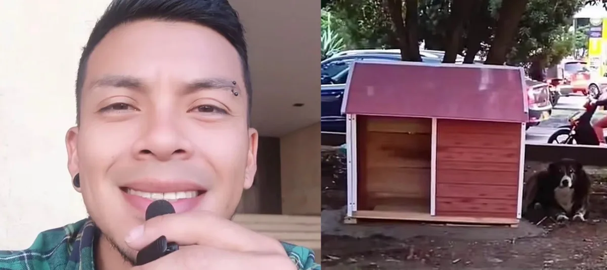 El arquitecto de Pasto que construye refugios para perros callejeros.