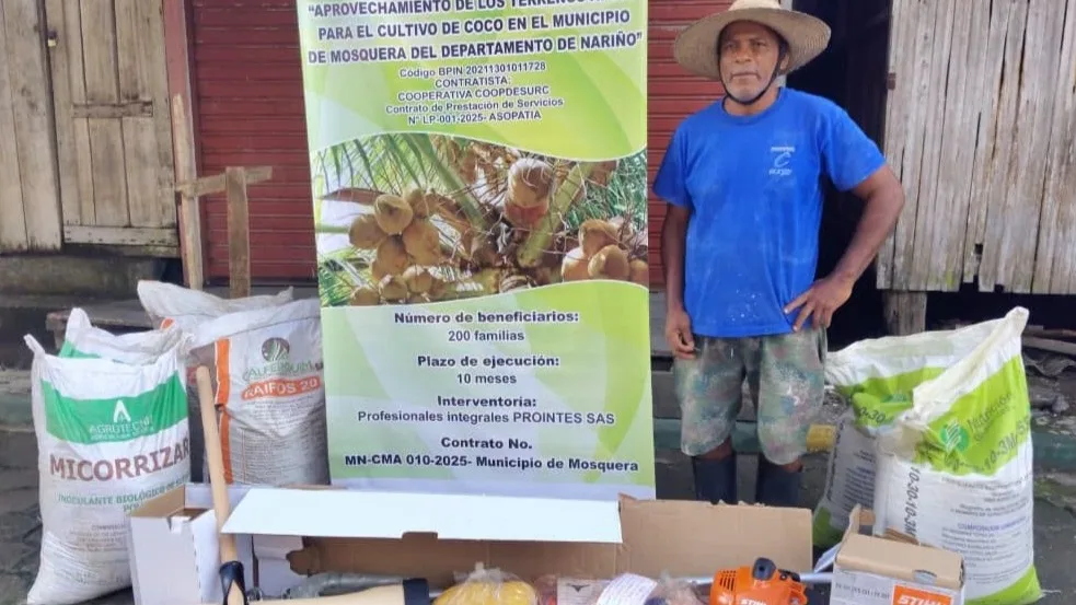 Impulsan la recuperación de cultivos de coco en el municipio de Mosquera, Nariño