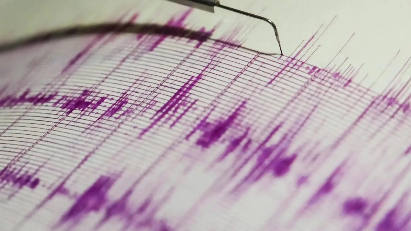 Temblor hoy 21 de octubre en Tolima: sismo de magnitud 2,6 sacudió Chaparral