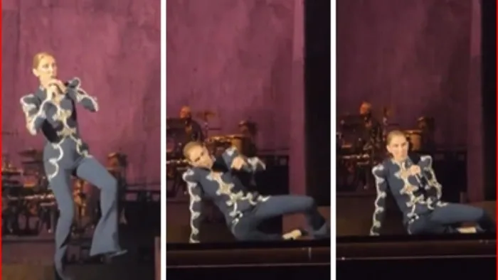 VIDEO Celine Dion y el susto que pasó tras su caída en el escenario en Francia