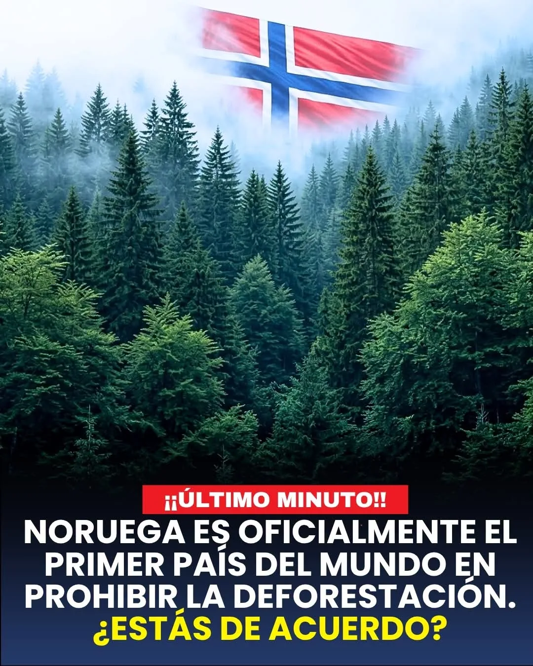 FB IMG 1793225790927