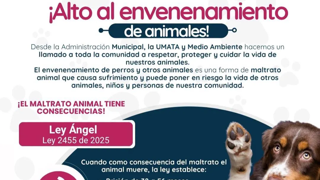 La Florida advierte sanciones por envenenamiento y maltrato animal