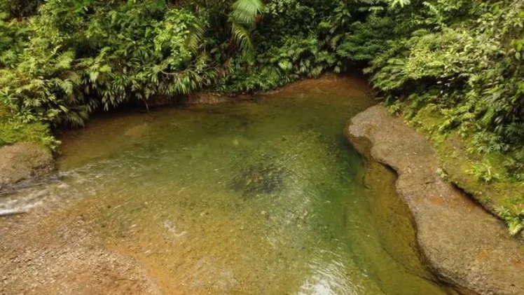 Nuevas áreas protegidas fortalecen la conservación de ecosistemas y bosques secos