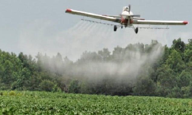 Petro plantea reactivar fumigación aérea con glifosato en zonas cocaleras, marcando giro en política antidrogas nacional.