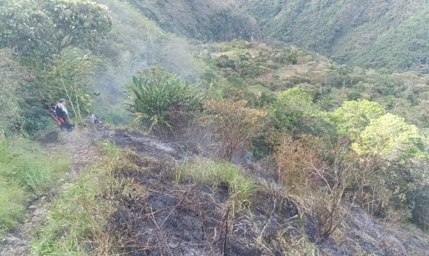 Incendio San Antonio