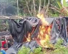 laboratorio narcotráfico en Tumaco