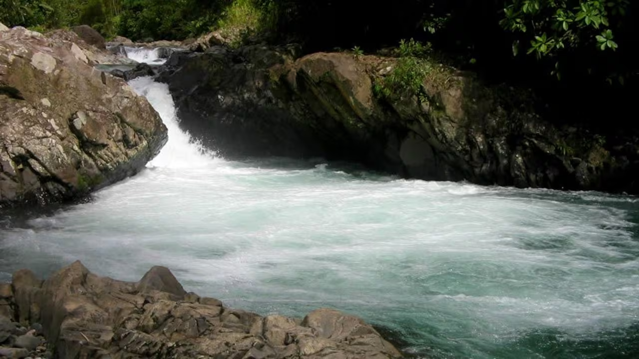 Dorado: el pueblo antioqueño que lleva el nombre de un pez de agua dulce y que se ha ganado el reconocimiento por su actividad minera.