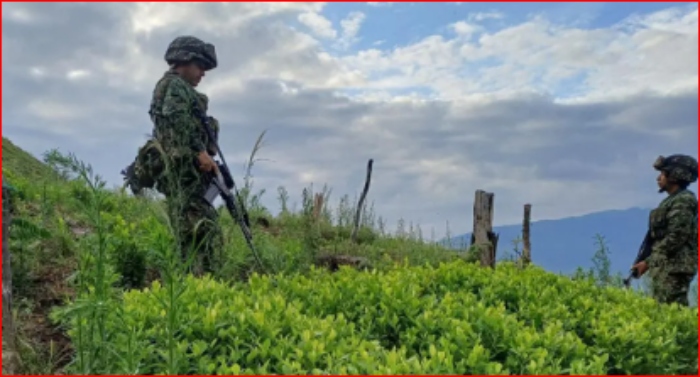EEUU- Antidrogas- MinDefensa- Colombia- Trump- Petro- desertificación- 15Sep-