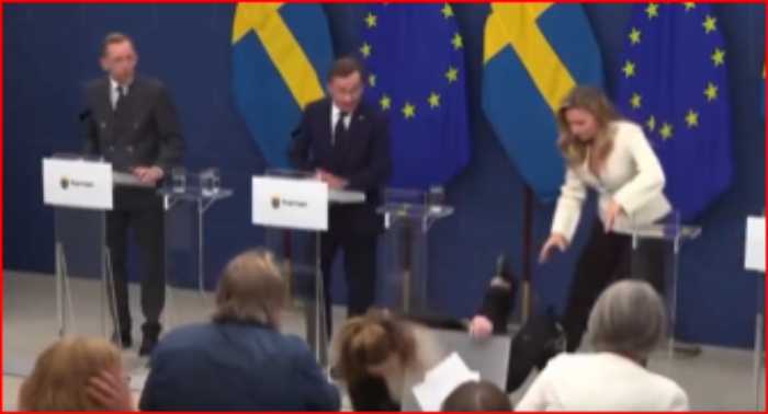 Suecia- Min Salud- desplomó- Elisabet Lann- 9Sep- Acko Ankarberg Johansson_