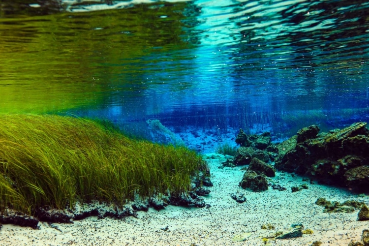 Descubren acuífero de agua dulce oculto bajo el océano