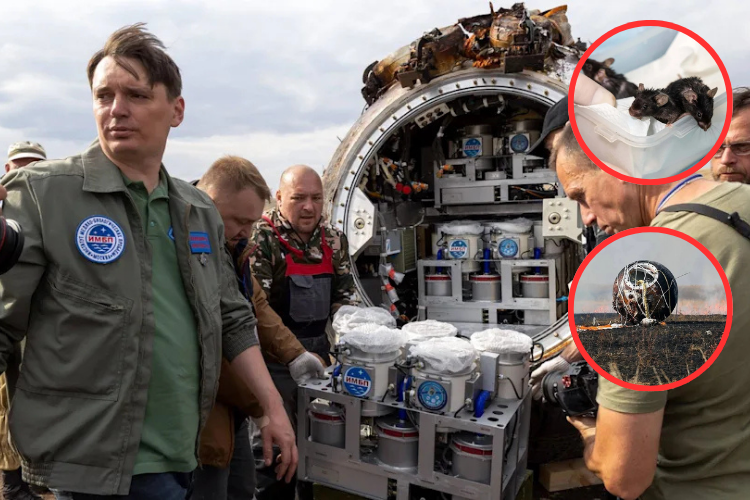 Misión rusa “Arca de Noé” regresa tras probar la hipótesis de la panspermia