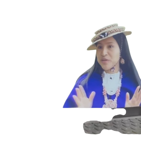 Deisy Almendra Calambás, periodismo.