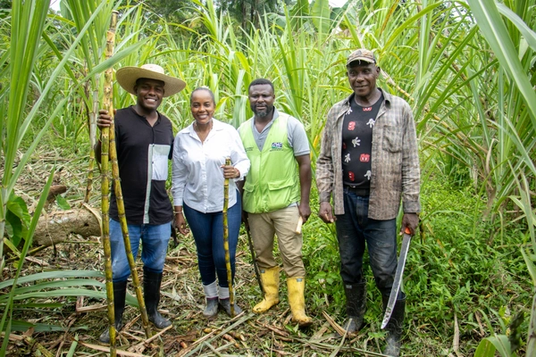 Gobernación le apuesta a tecnificación y exportación de viche, busca posicionar la papachina
