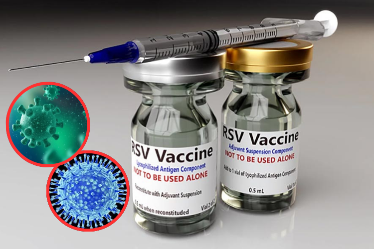 Crean vacuna de dosis única que protege contra múltiples cepas del virus H5N1