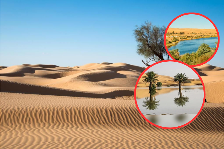 El Sahara será más húmedo: científicos prevén un aumento del 75 % en las lluvias