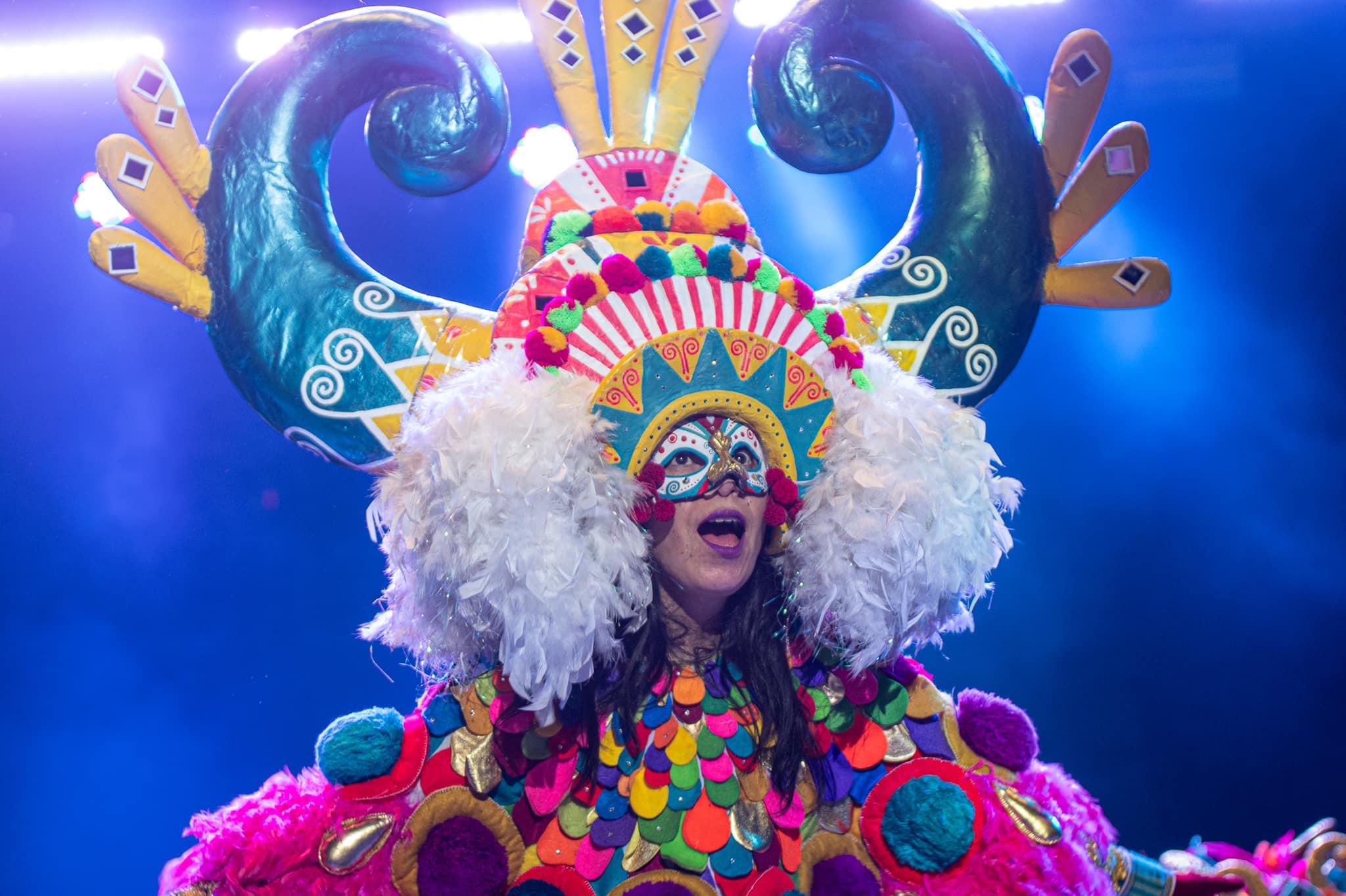 Dayra Benavides, Artista nariñense.