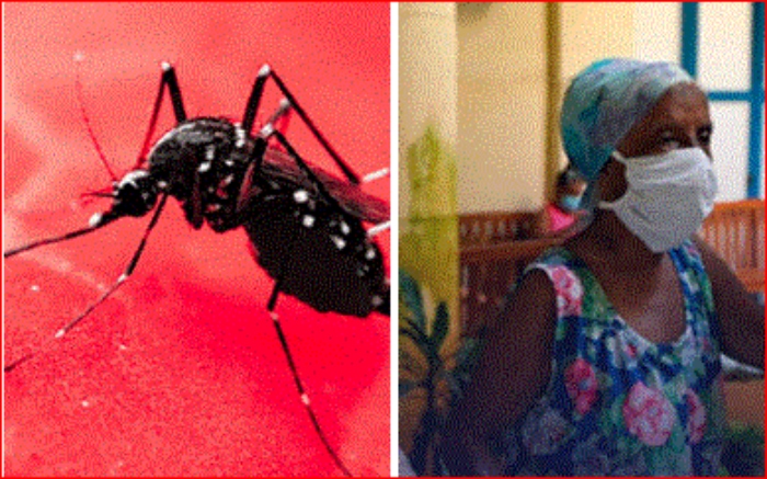Epidemia- Cuba- salud- Médico- chikunguña-