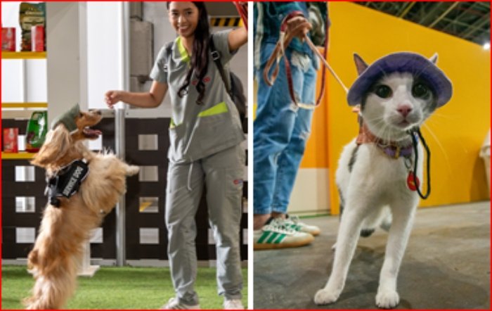 Expopet Medellín- Animales- cuidado- prevención-