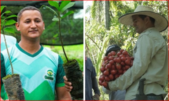 Ganadores- Premio Emprender Paz 2025- Cauca- Valle- Fundación Grupo Social- Cartón de Colombia Smurfit Westrock-