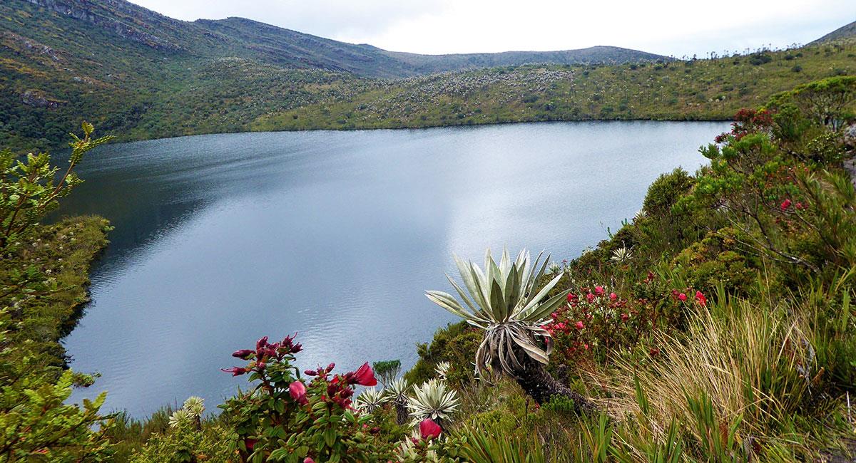Tres joyas naturales cerca de Bogotá para hacer ecoturismo y recargar energía