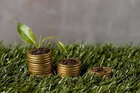 economía verde y sostenibilidad