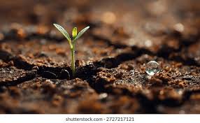 simulador de resiliencia climática para PYMES