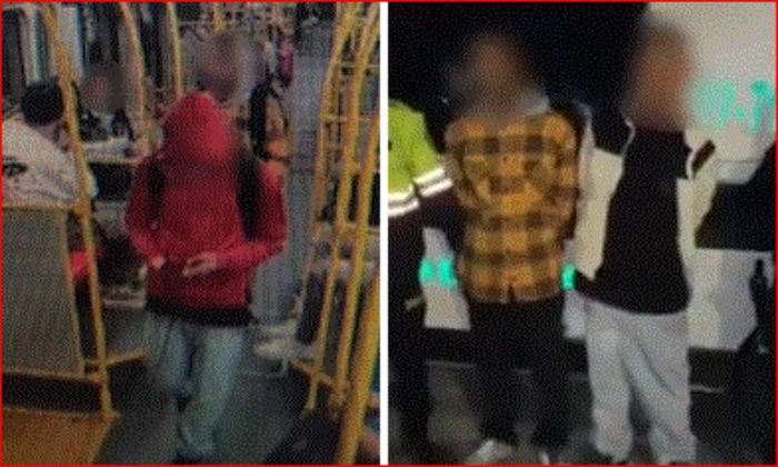 Bogotá- Policía- TM- Ladrones- Inseguridad- Estación Calle 30- 22Abr-