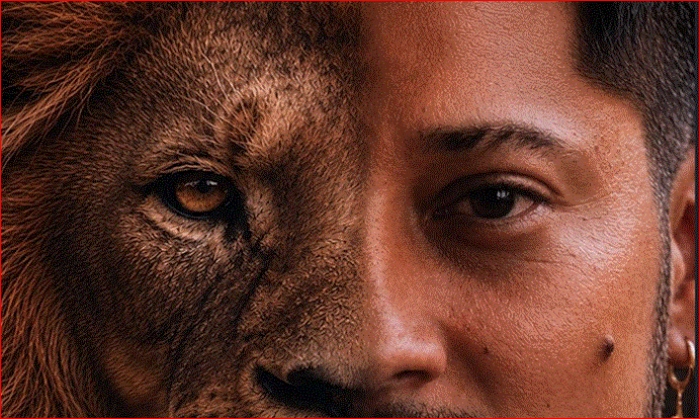 Lanzamiento- Afromerengue- Lowe León- primer álbum - tropical urbano- Se metió el León-