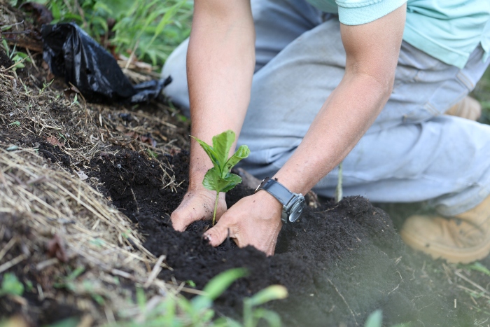 Reporte de Gestión- Nestlé r- emisiones globales de CO2- responsabilidad social-