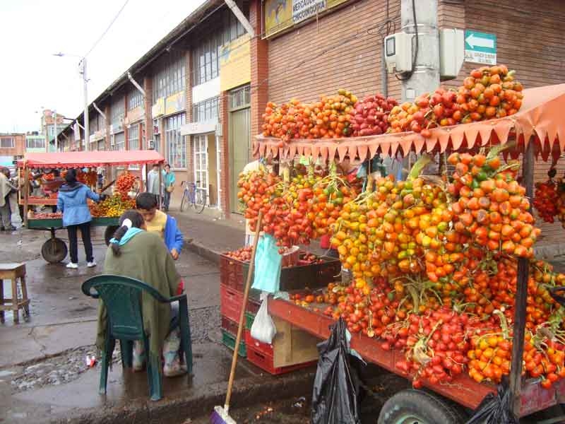 INSTALARÁN nuevo sistema de videovigilancia en el Mercado de Chiquinquirá.