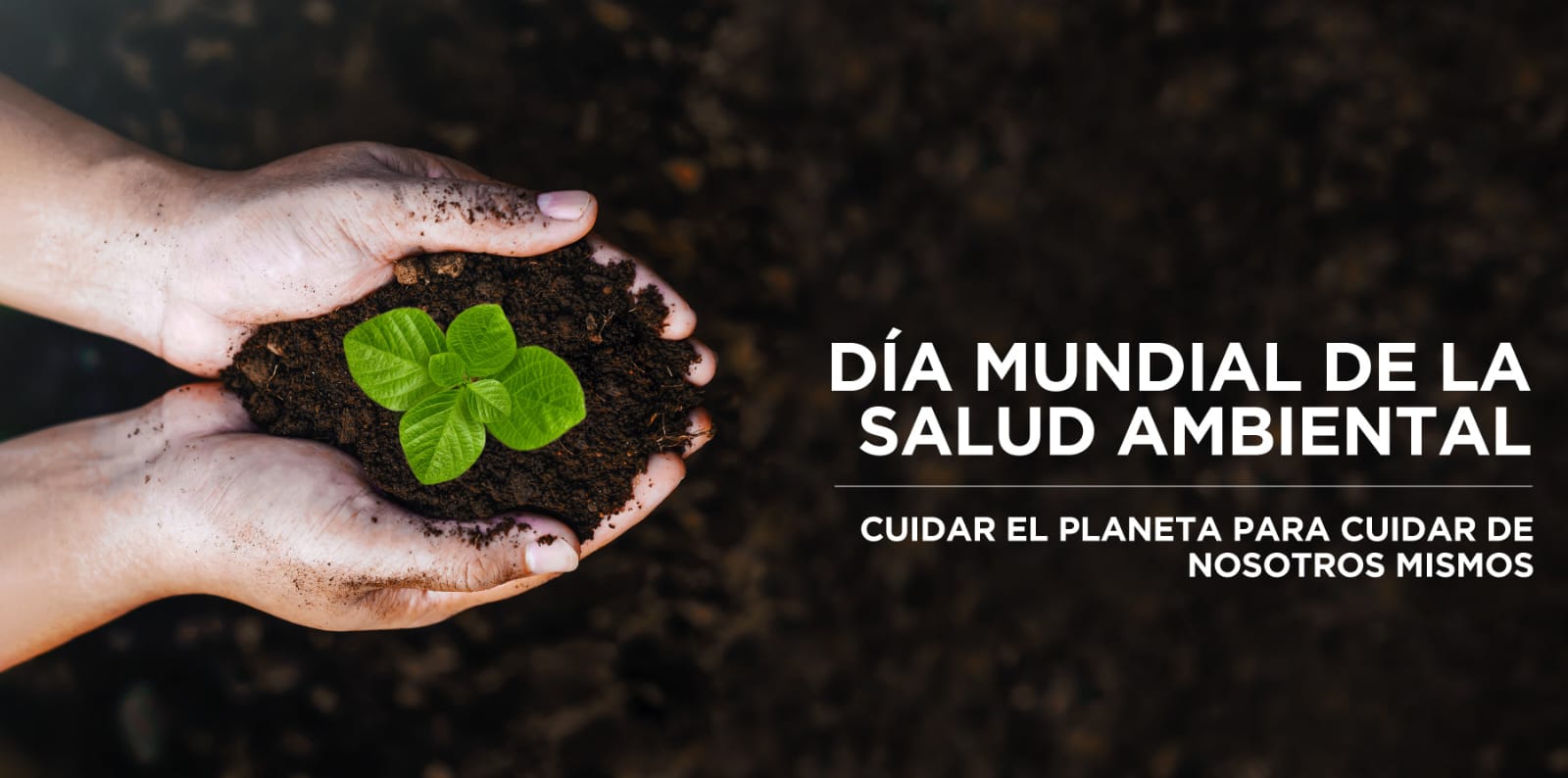 Cuidar el ambiente también es cuidar nuestra salud y proteger nuestra calidad de vida.